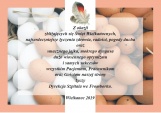 grafika