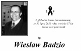 grafika