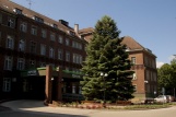 grafika