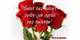 grafika