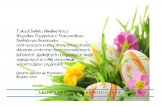 grafika