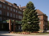 grafika